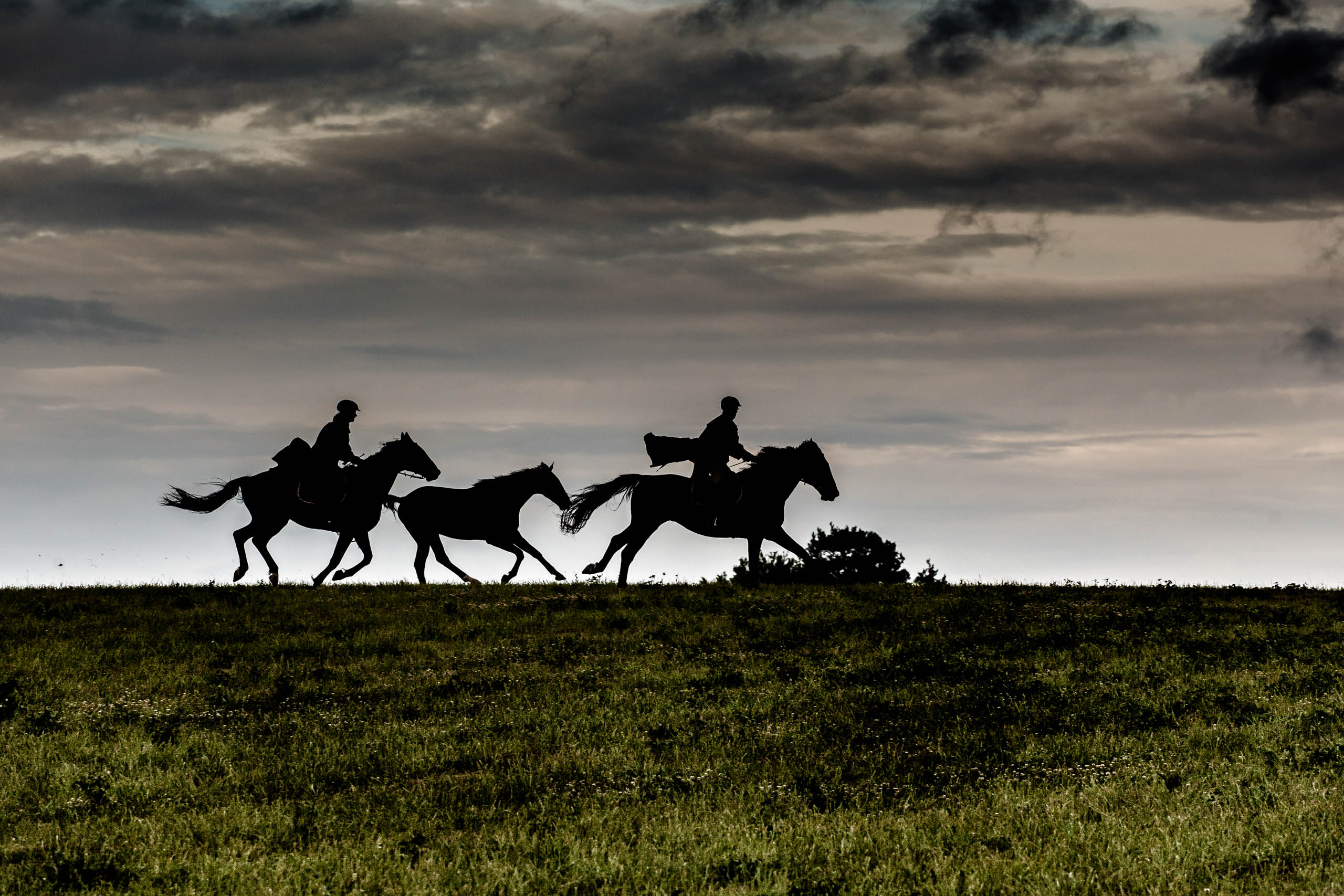 konie, horses, Warmia and Mazury, horse riding